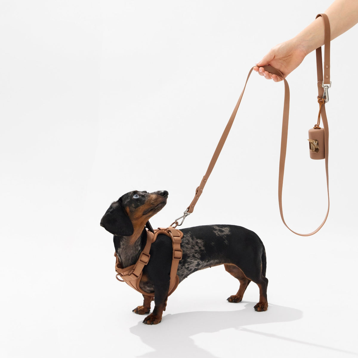 Doxie Comfort Leash