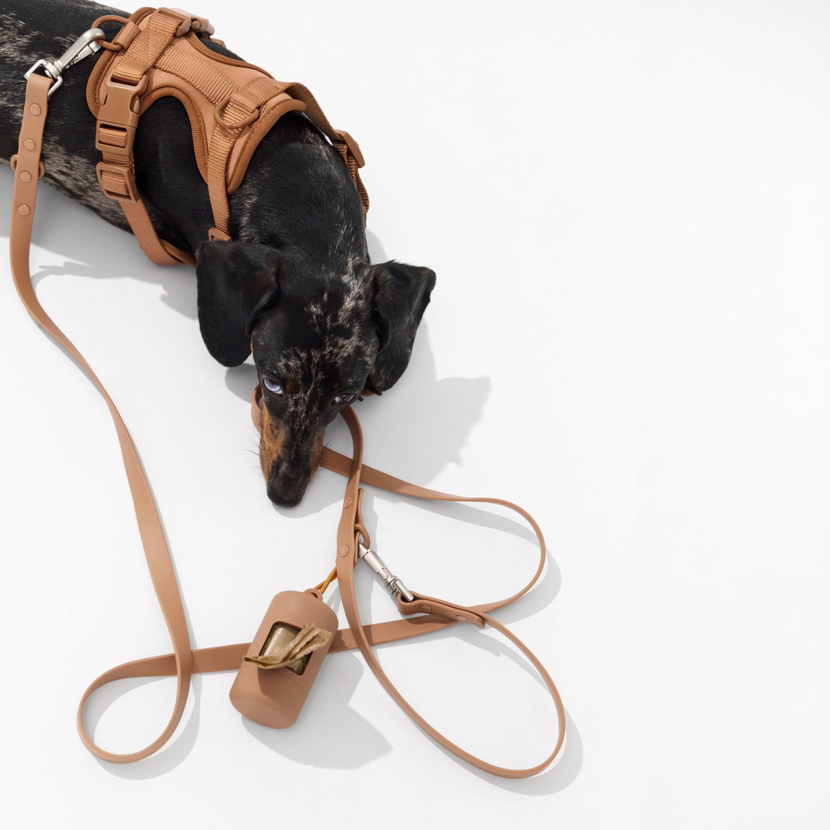 Doxie Comfort Leash